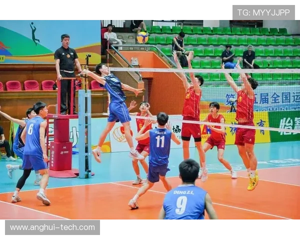 重庆排球队强势崛起最新排球个人能力排行榜前十名揭晓