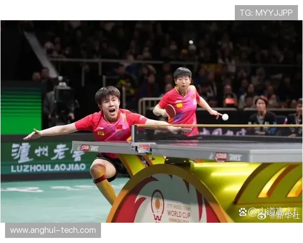 上海乒乓球队灵活性排名创新高展现卓越实力与团队合作精神 上海乒乓球队灵活性排名创新高展现卓越实力与团队合作精神