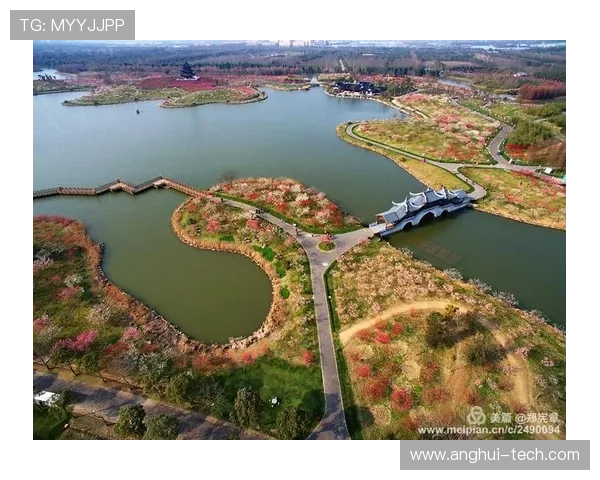 足球明星小瑞的精彩瞬间与个人魅力全景展示